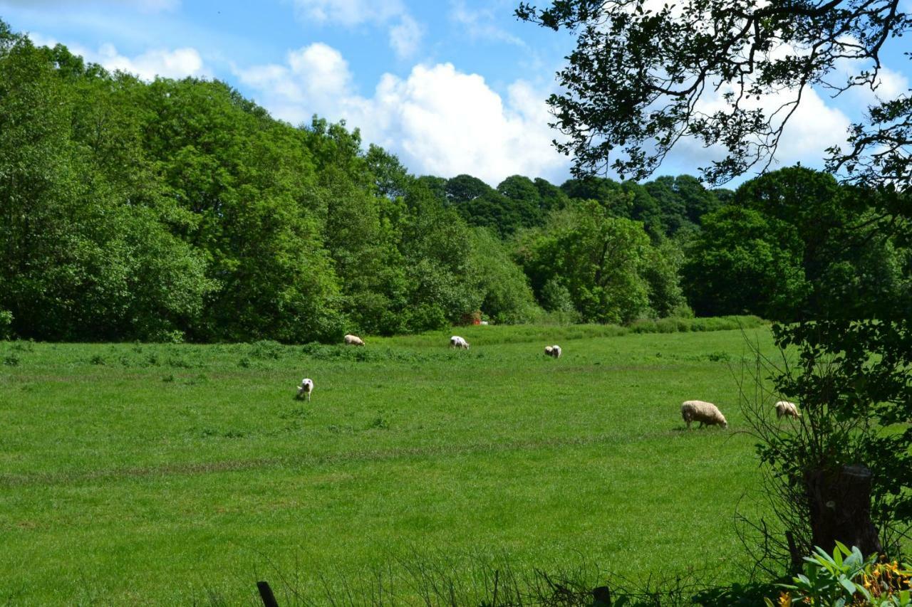Arrowwood Self Catering Villa Kington  Eksteriør bilde